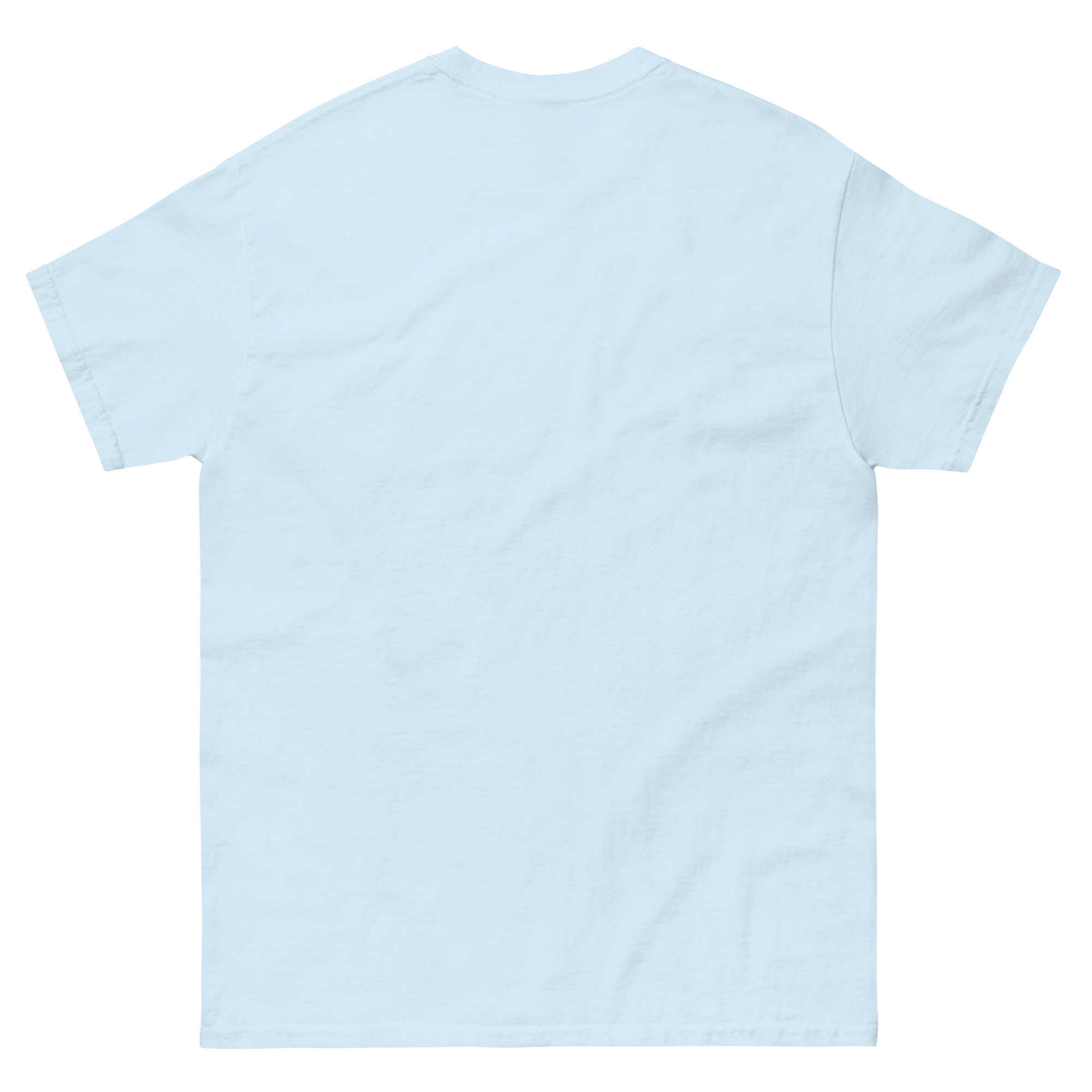 unisex-classic-tee-light-blue-back-673d998b0f42f.jpg