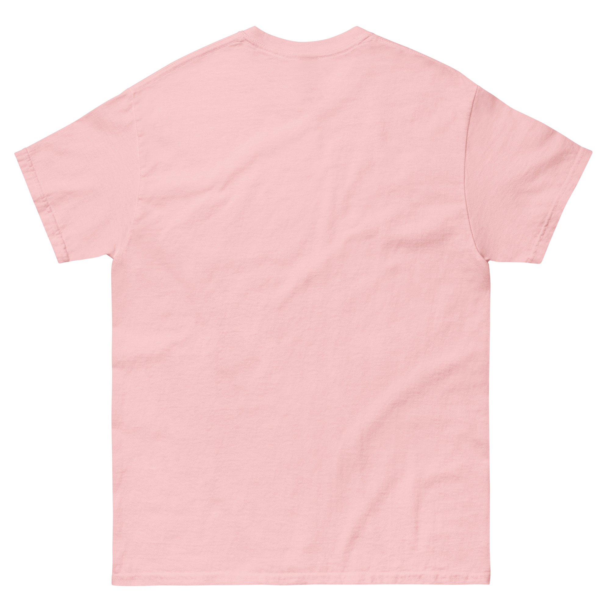 unisex-classic-tee-light-pink-back-673cedc51d933.jpg