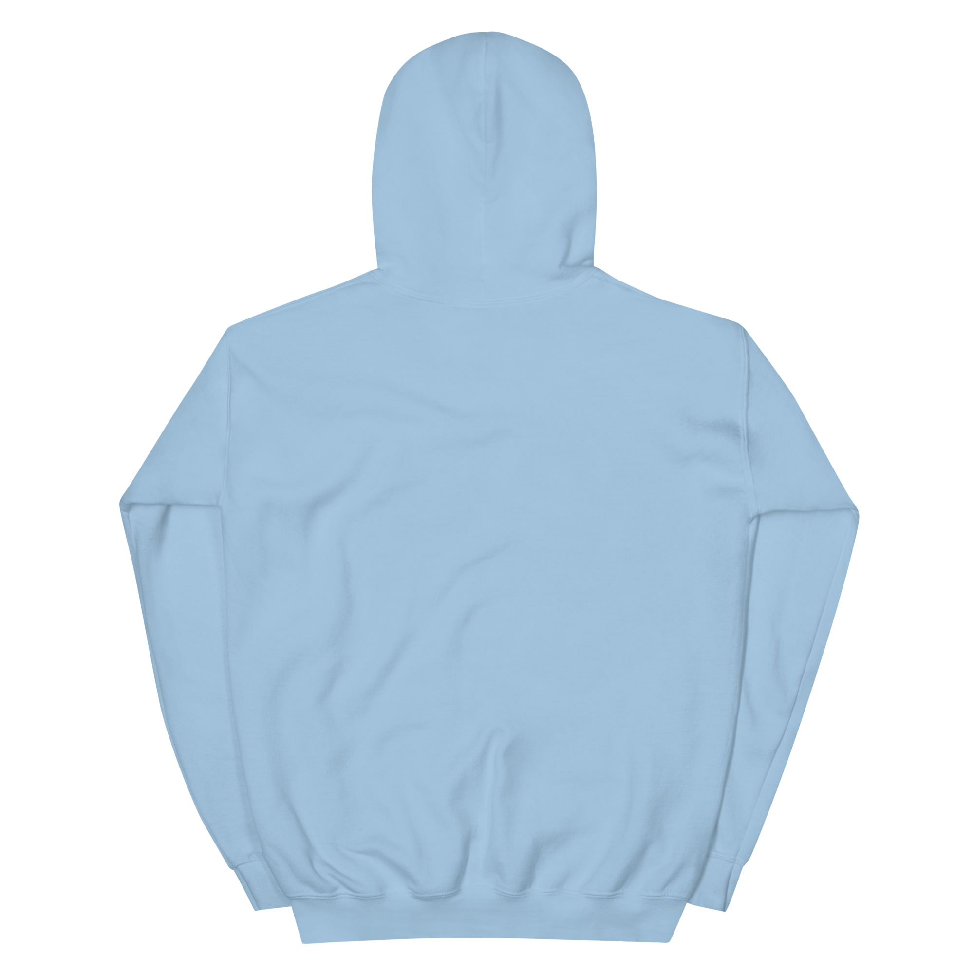 unisex-heavy-blend-hoodie-light-blue-back-672cacb9cb39e.jpg