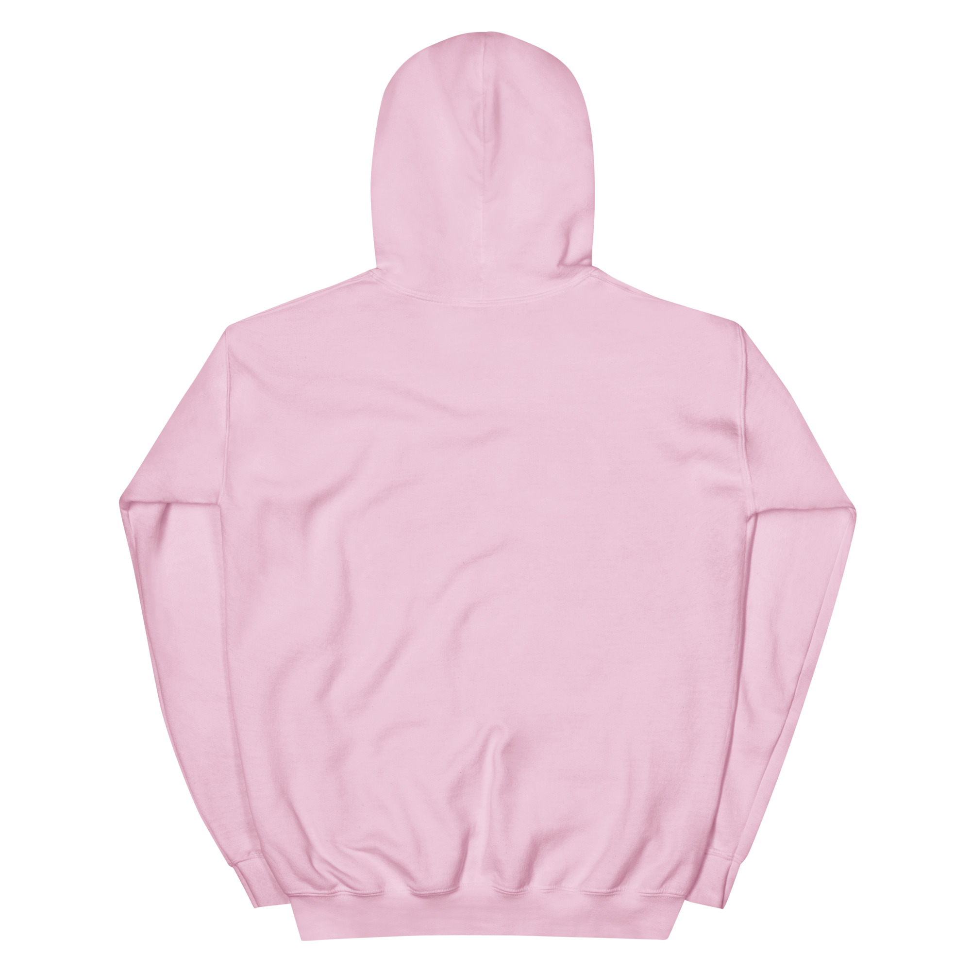 unisex-heavy-blend-hoodie-light-pink-back-6728eb520a23c.jpg