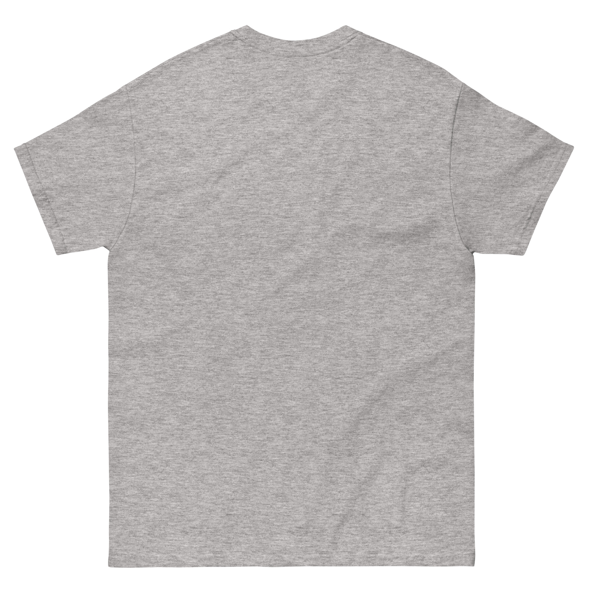 unisex-classic-tee-sport-grey-back-677fed8c9fc70.jpg