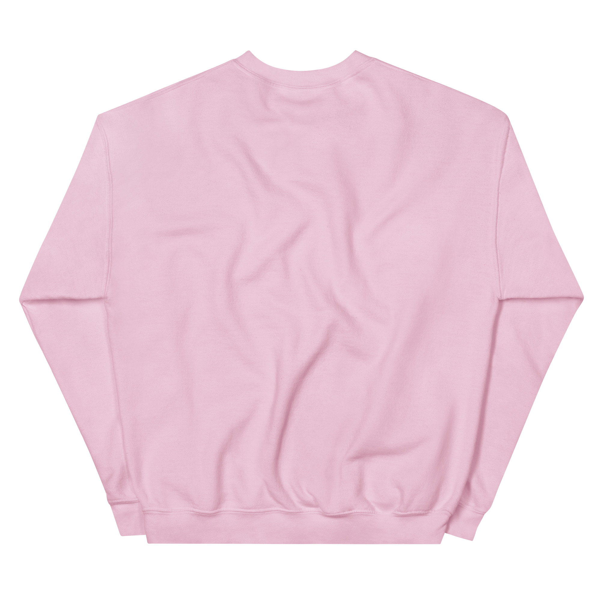 unisex-crew-neck-sweatshirt-light-pink-back-677fd446dbb81.jpg