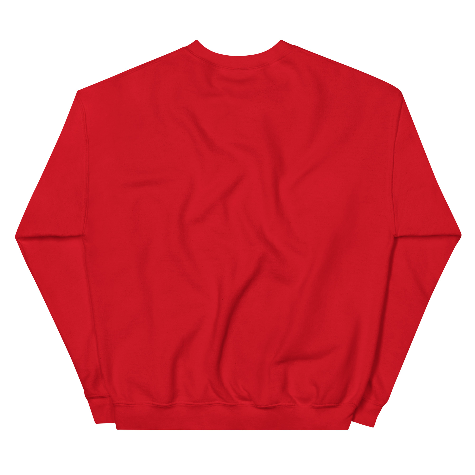 unisex-crew-neck-sweatshirt-red-back-677ed9c74051f.jpg