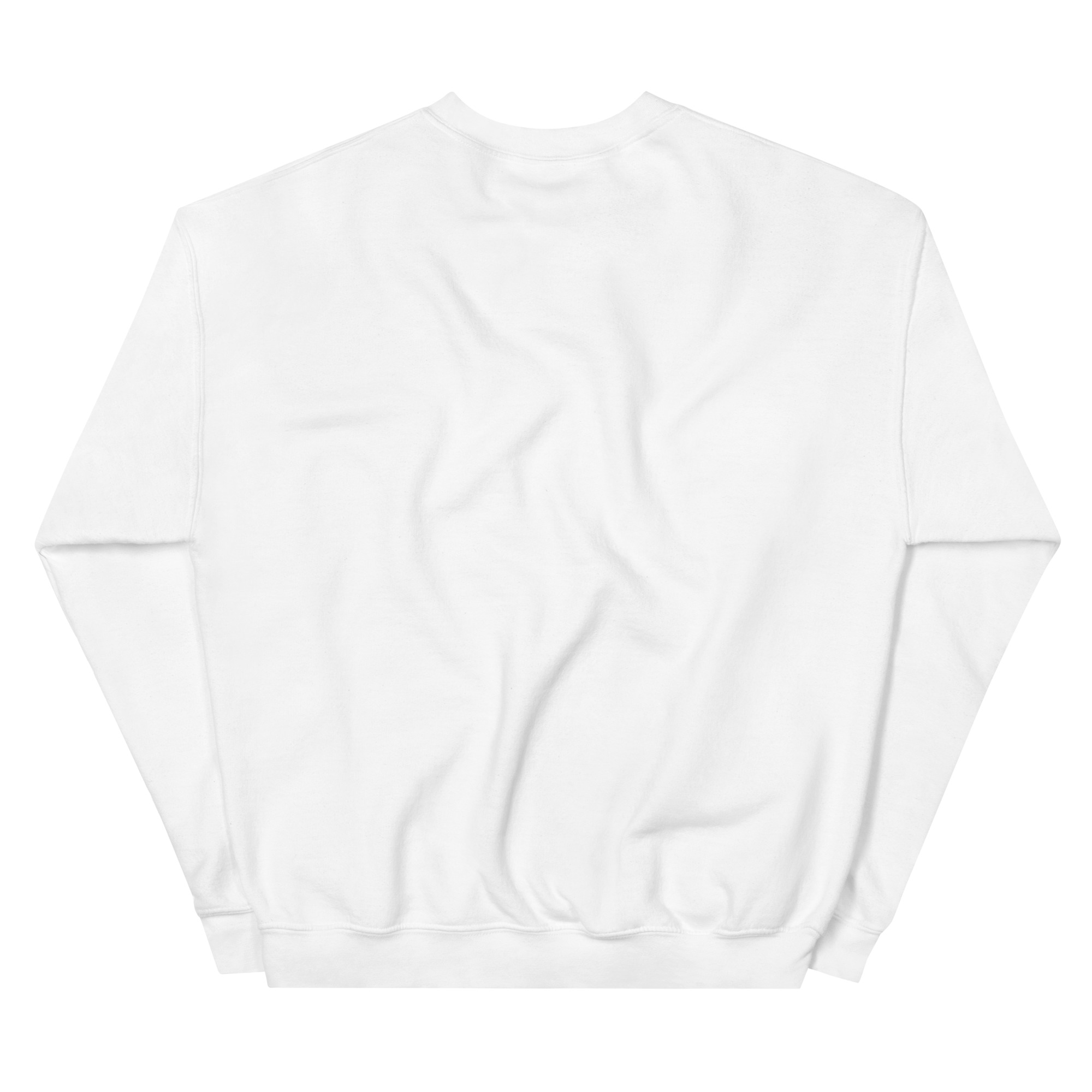 unisex-crew-neck-sweatshirt-white-back-677e7f309fa1f.jpg