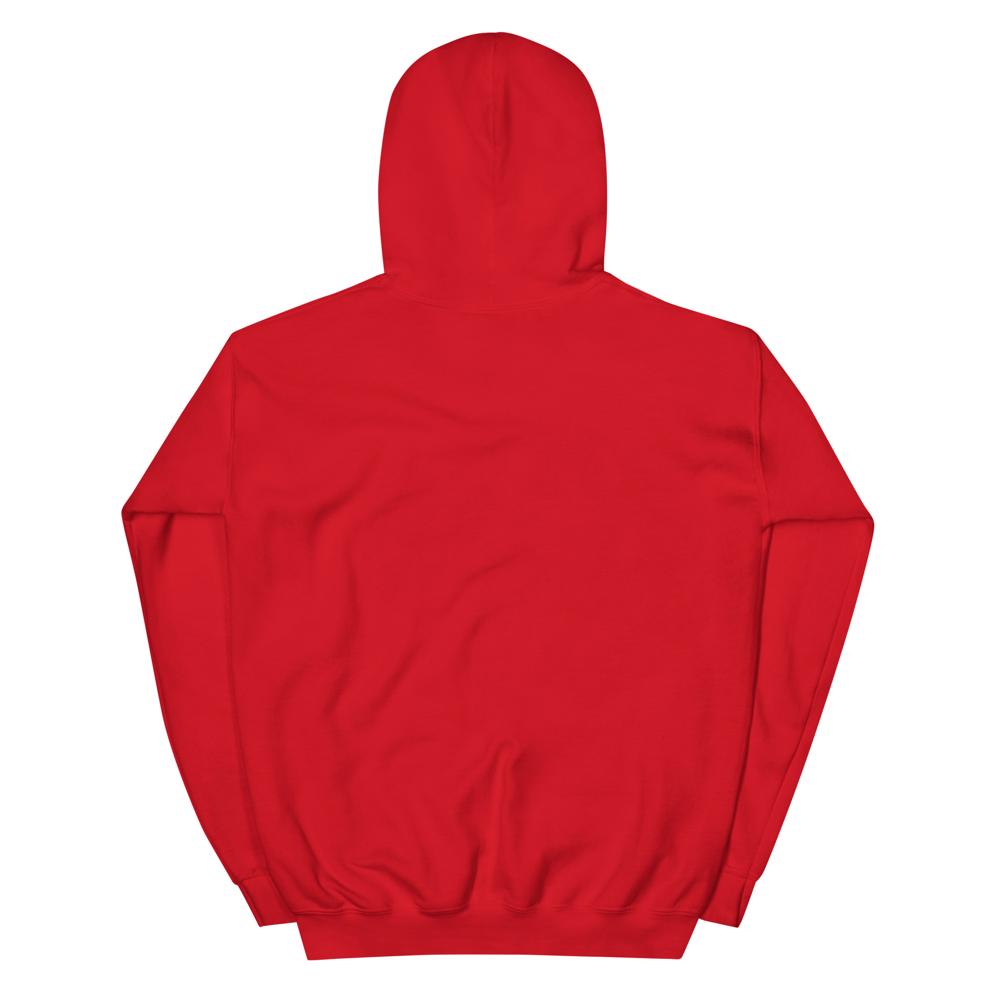 unisex-heavy-blend-hoodie-red-back-67910a305d507.jpg