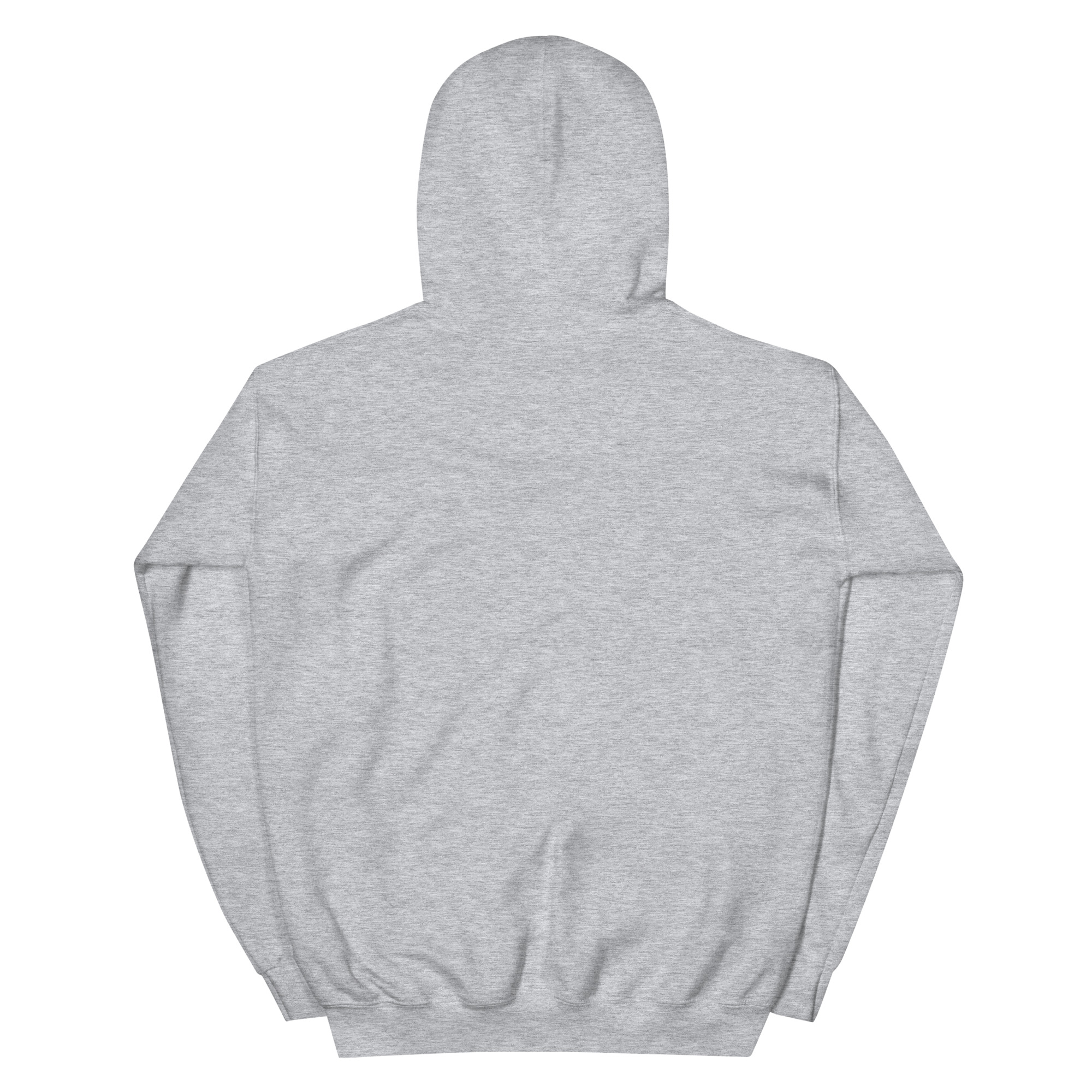 unisex-heavy-blend-hoodie-sport-grey-back-6790f0ea52c1a.jpg