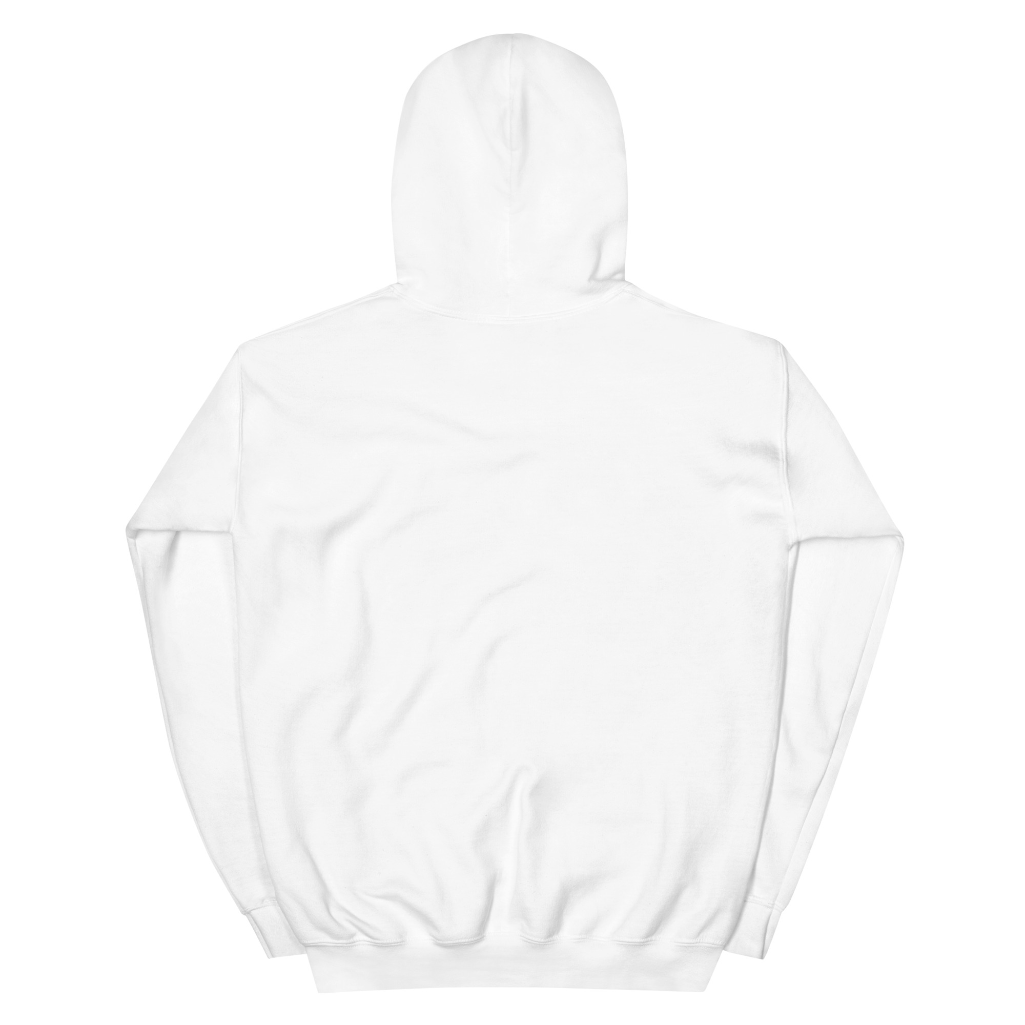 unisex-heavy-blend-hoodie-white-back-67801cd6577a7.jpg