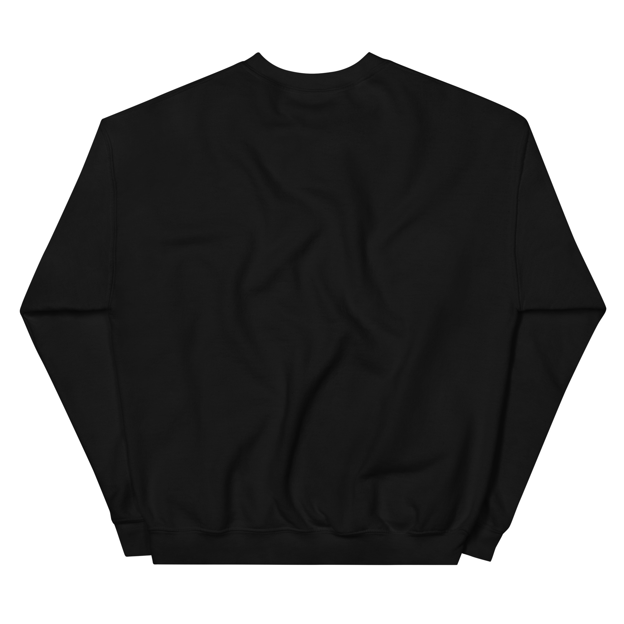 unisex-crew-neck-sweatshirt-black-back-67bf153573d95.jpg