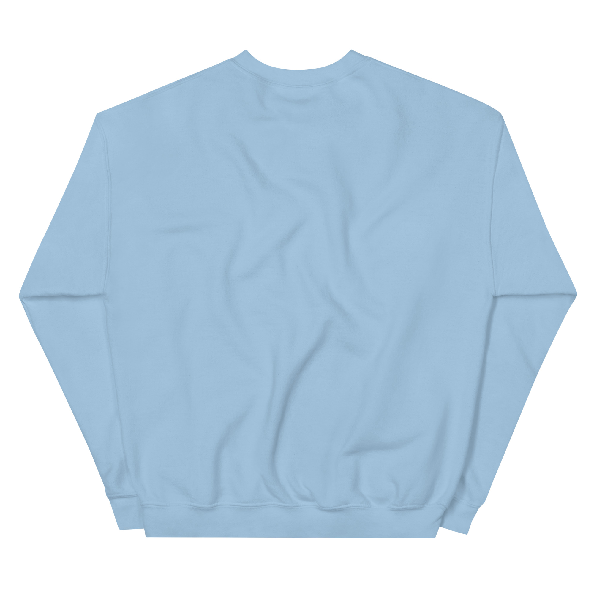 unisex-crew-neck-sweatshirt-light-blue-back-67c6f973148e3.jpg
