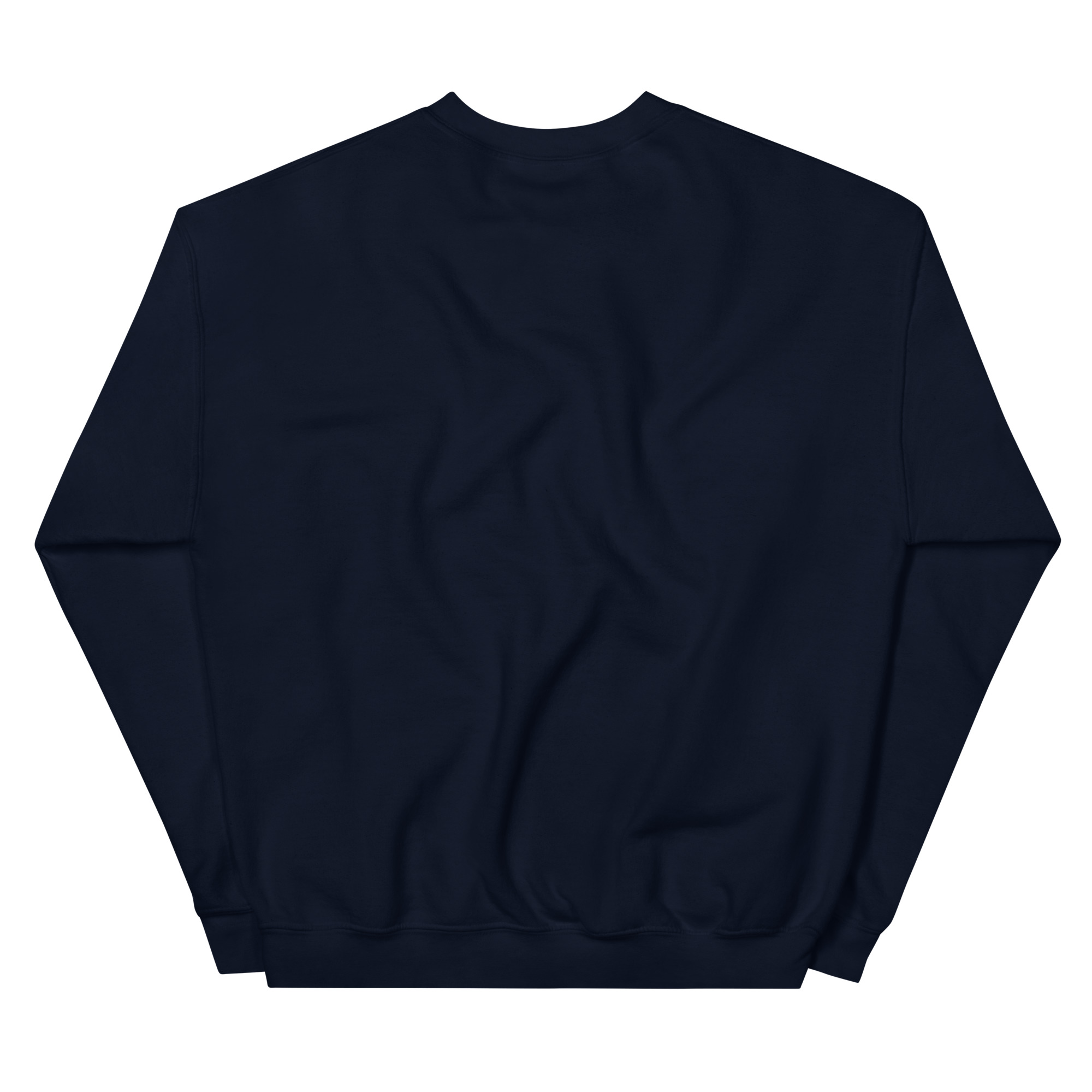 unisex-crew-neck-sweatshirt-navy-back-67c6ffffef861.jpg