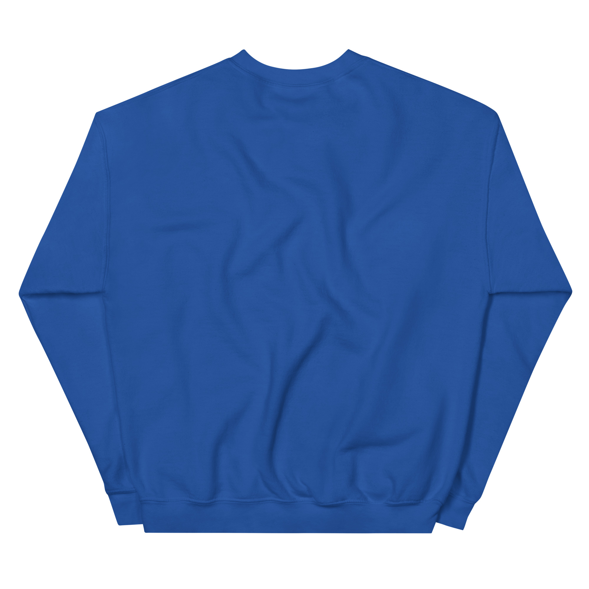 unisex-crew-neck-sweatshirt-royal-back-67c6fb881e3a3.jpg