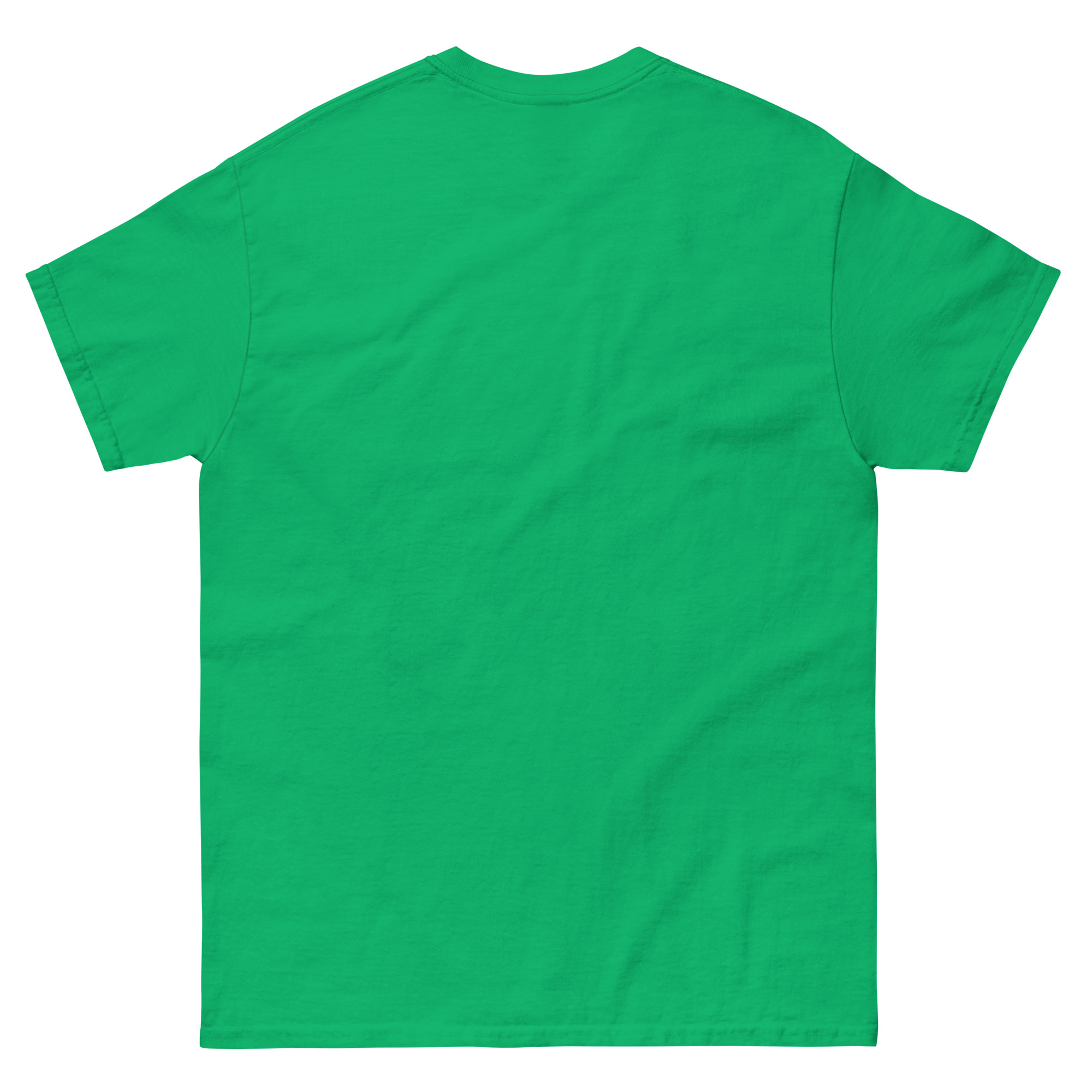 unisex-classic-tee-irish-green-back-67fe5be350289.jpg
