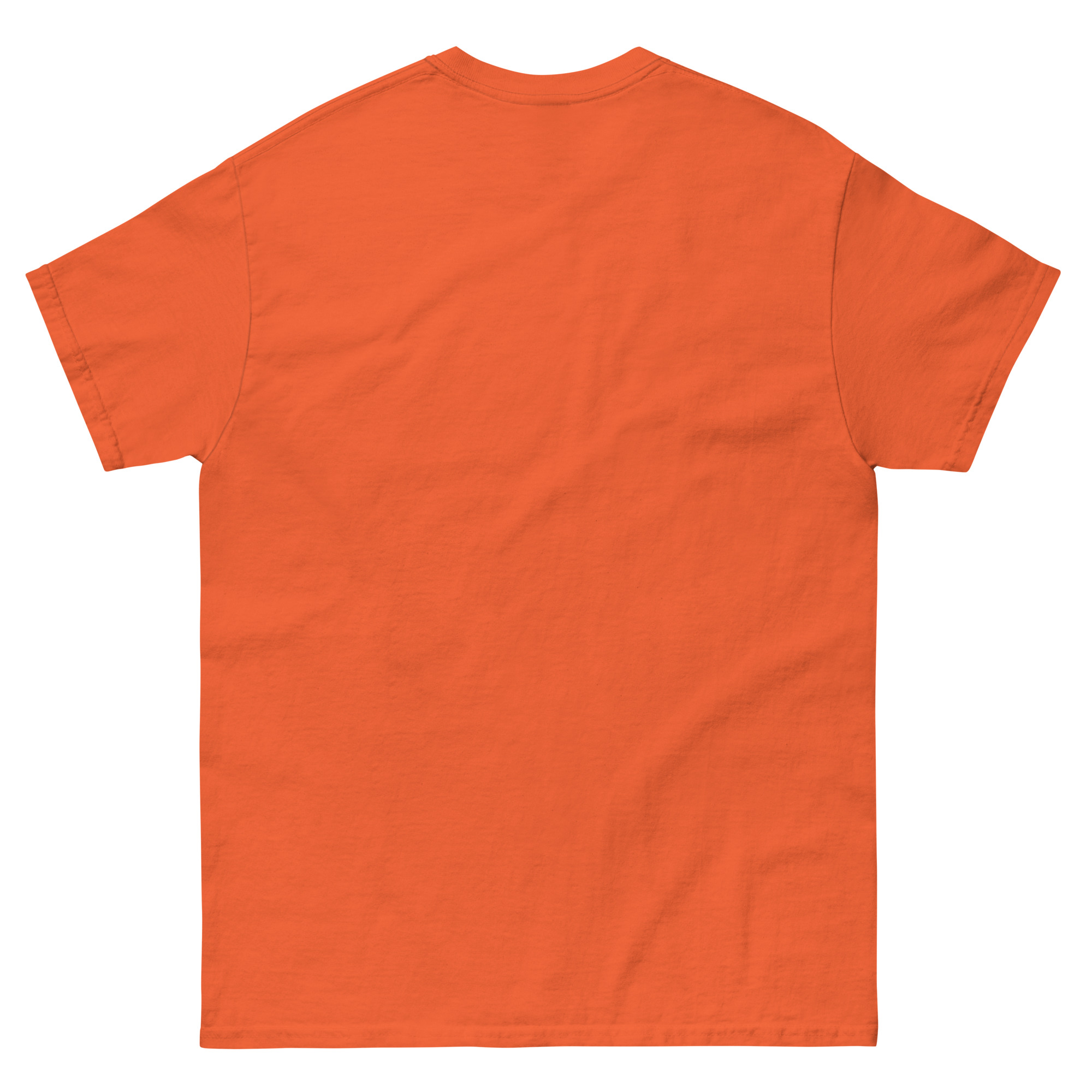 unisex-classic-tee-orange-back-67fe5be34b60d.jpg